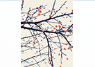 一等奖：《 初雪》高嘉迎 天根生化公司